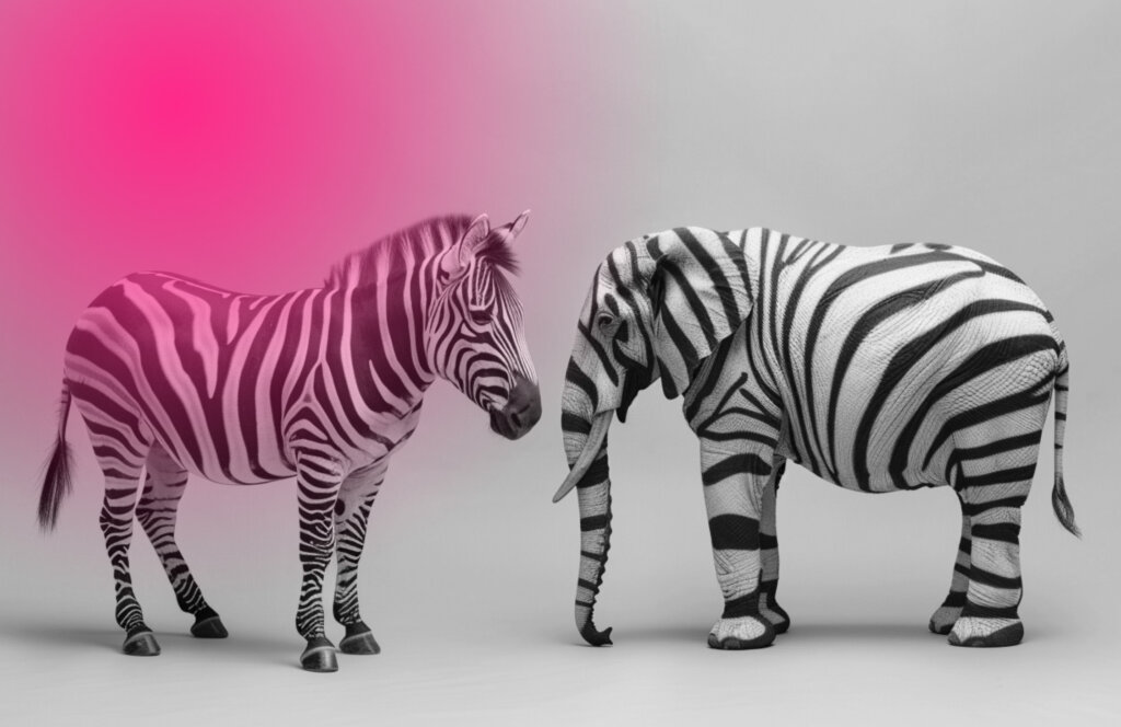 Zebra steht einem Elefanten mit Zebrafell gegenüber, als Metapher für Transformation vs. Change: systemischer Wandel erfordert neue Denkweisen und Identitätswechsel.